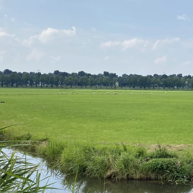 Aetsveldse polder