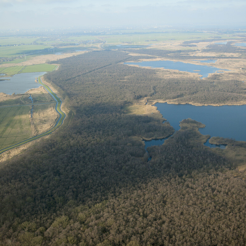 Het Naardermeer is een afwisseling van water, moerassen en moerasbossen