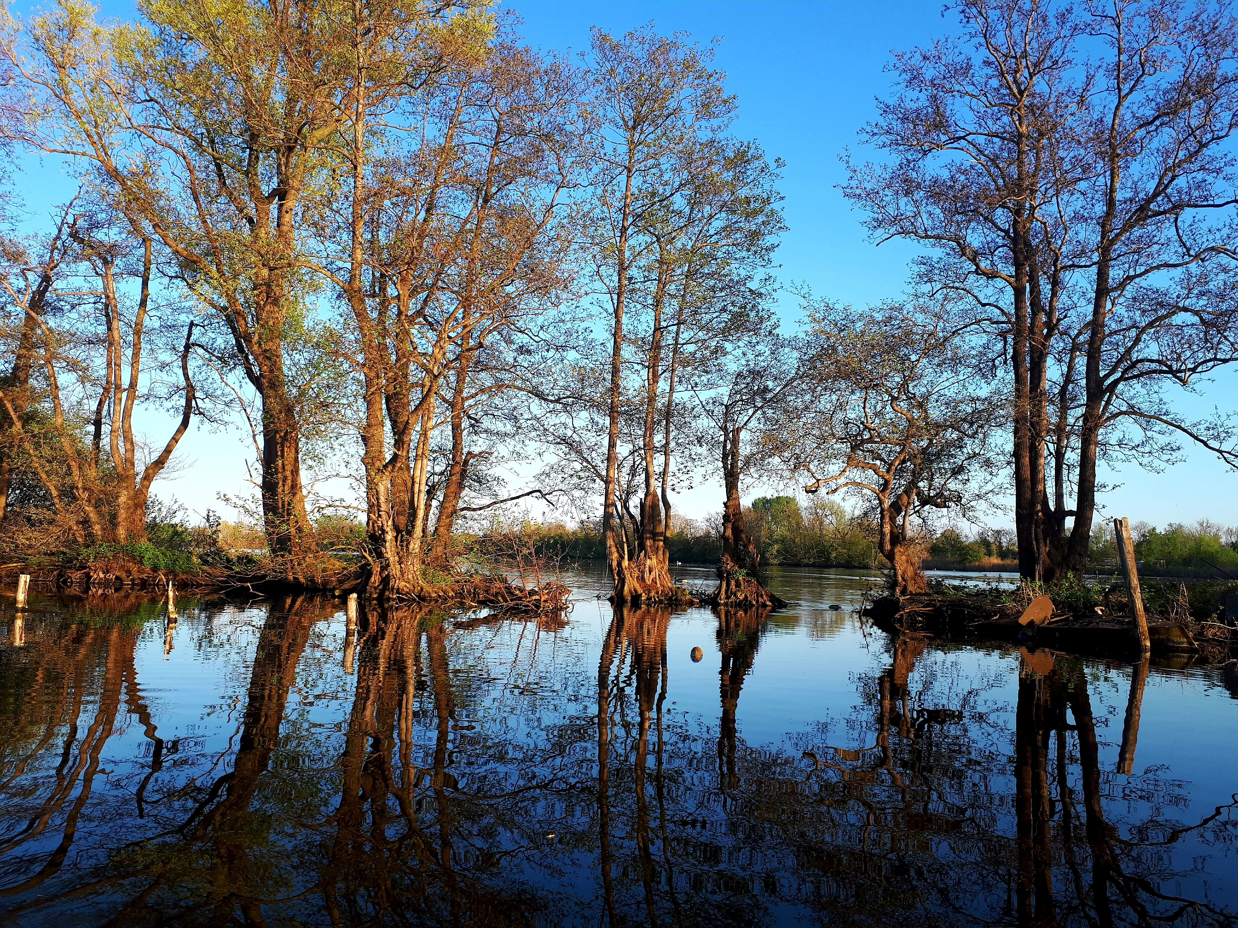 De Nes met restanten van het eiland
