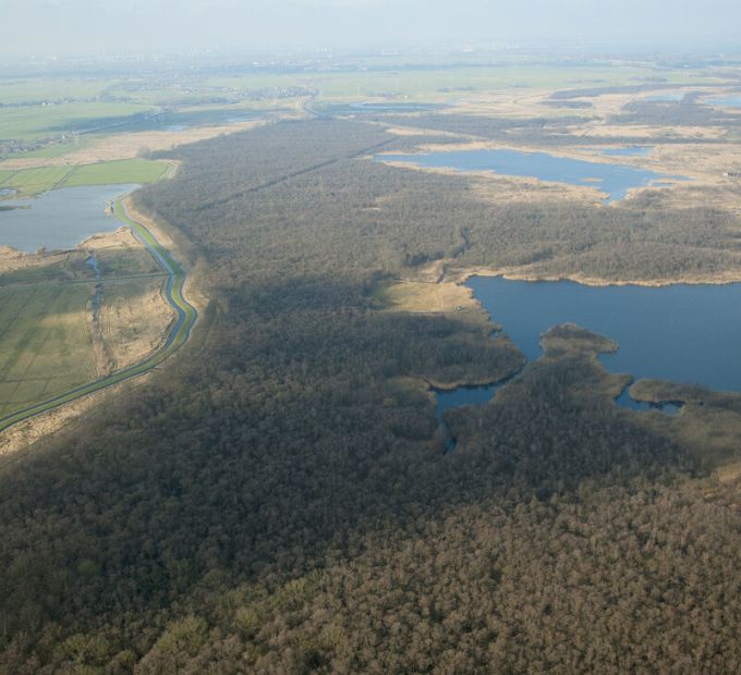 Het Naardermeer is een afwisseling van water, moerassen en moerasbossen