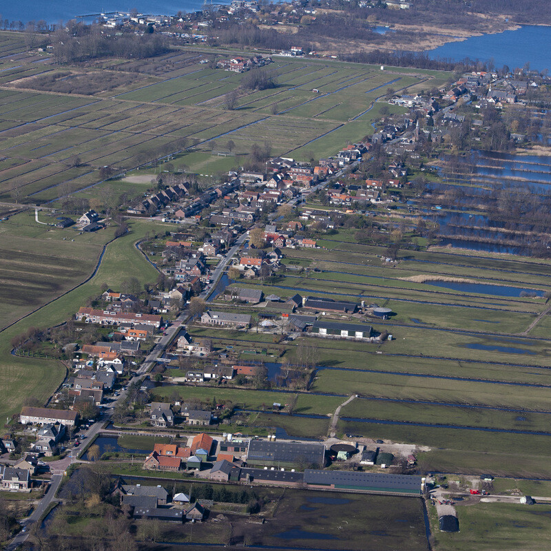Koeien in de weilanden bij Nieuwer Ter Aa.