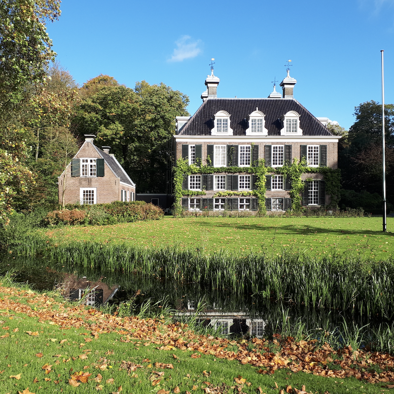 Roeien door natuurgebied Botshol