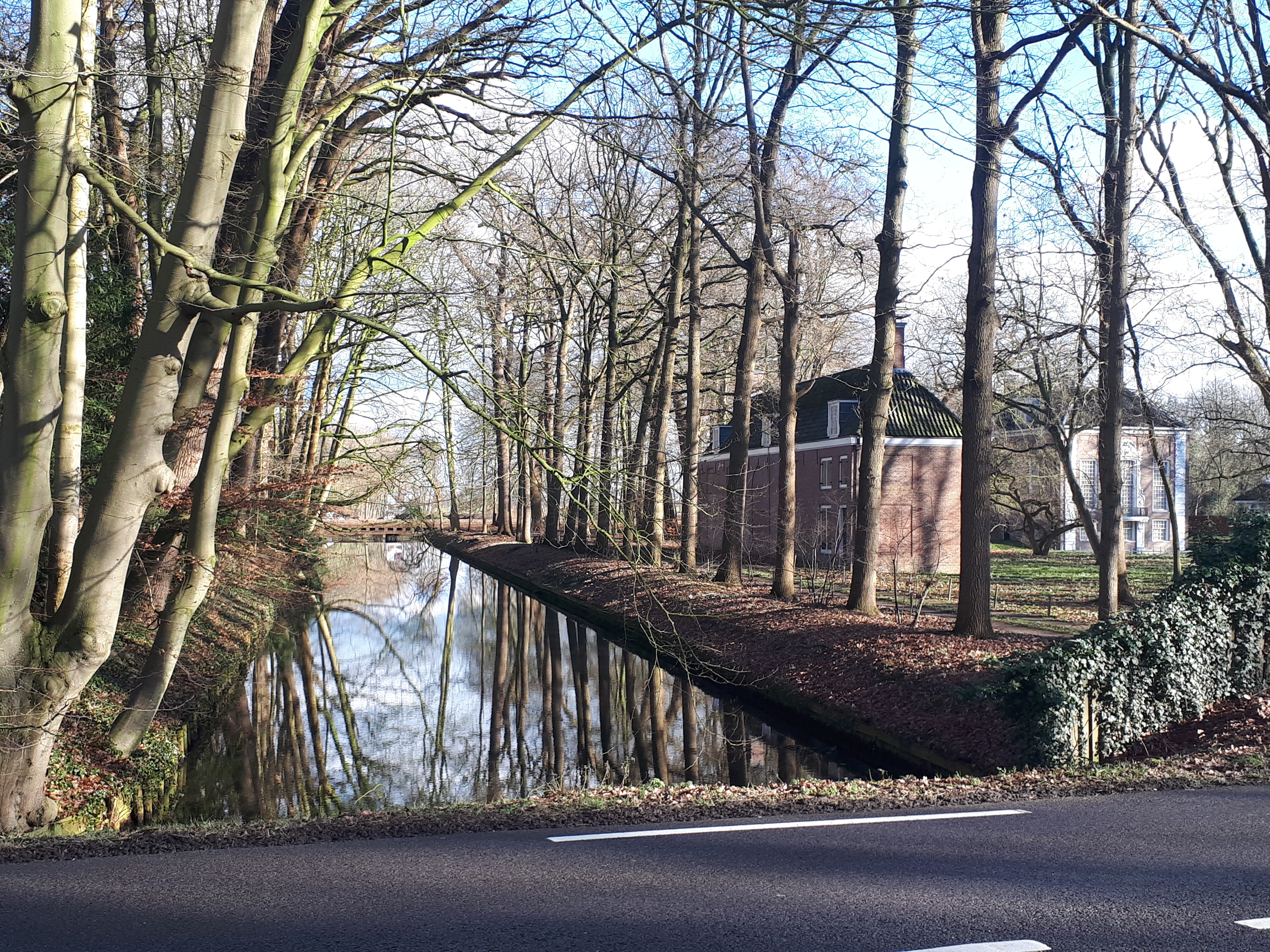 Historische boomstructuur langs Hollandse Wetering naast OverHolland