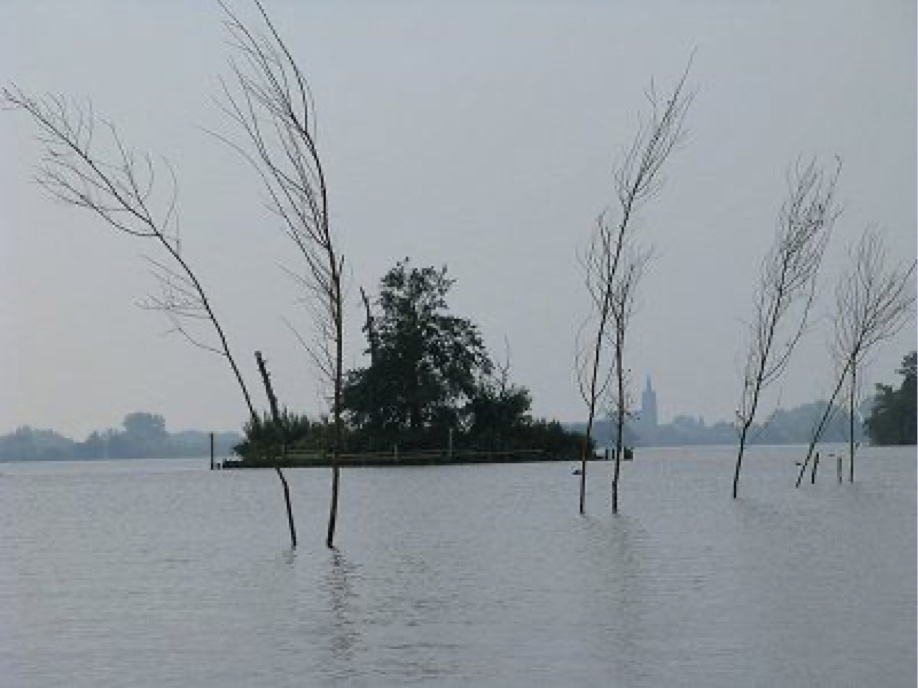 beeldbeschrijving van de afbeelding voor mensen met een visuele beperking