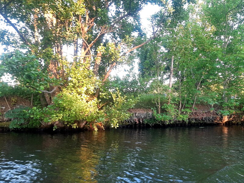 Ingestorte dakpanoever