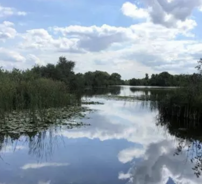 Vuntus
