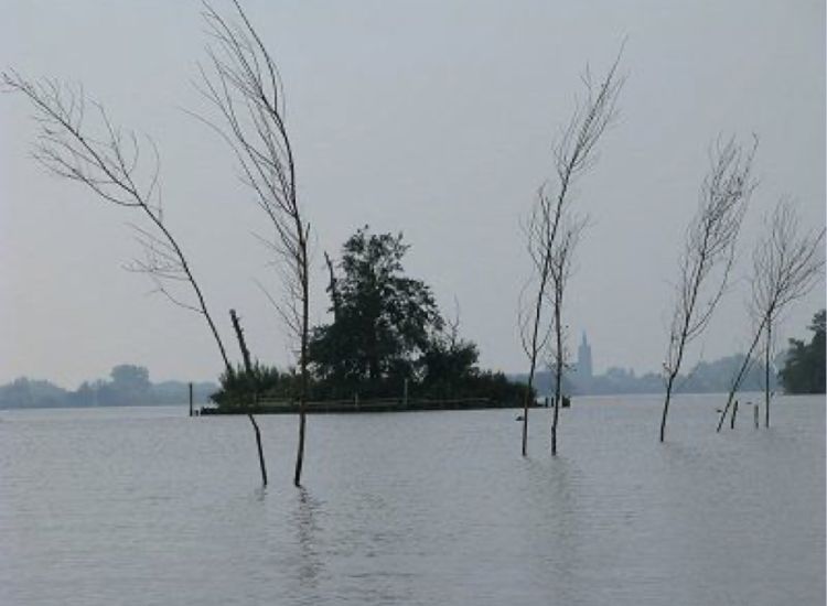 beeldbeschrijving van de afbeelding voor mensen met een visuele beperking