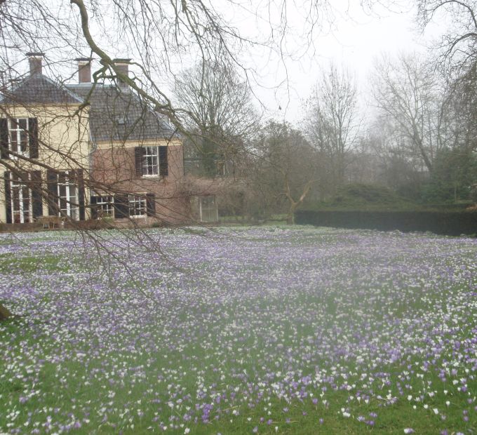 Stinzenplanten bij Leeuwenburg