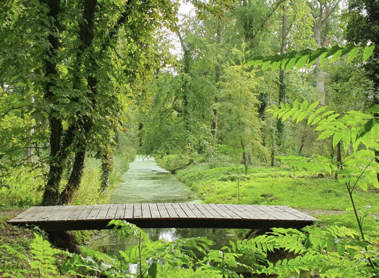 Het parkbos van OverHolland is openbaar toegankelijk