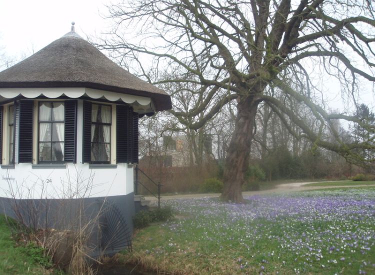 De koepel van buitenplaats Leeuwenburg aan het Zandpad te Maarssen, met stinzenplantbegroeiing