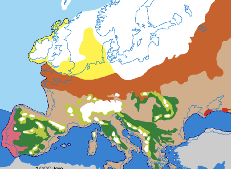 Tijdens de laatste ijstijd, het Weichselien (ca. 100.000-10.000 jaar geleden) kwam het poolijs tot Denemarken. Er was zo veel water in ijs opgeslagen dat de zee 120 m lager stond dan tegenwoordig. Op het koudste moment (ca. 20.000 jaar geleden) was het Nederlandse landschap vergelijkbaar met het huidige Noord Siberië en Alaska. Vanwege schaarse begroeiing konden aanhoudende westen winden grote hoeveelheden fijn zand afzetten – en verder landinwaarts löss. Zo ontstonden de dekzanden. Die zijn in de Vechtstreek weer afgedekt door veen. Alleen aan de voet van de Heuvelrug vinden we nog dekzand aan de oppervlakte.