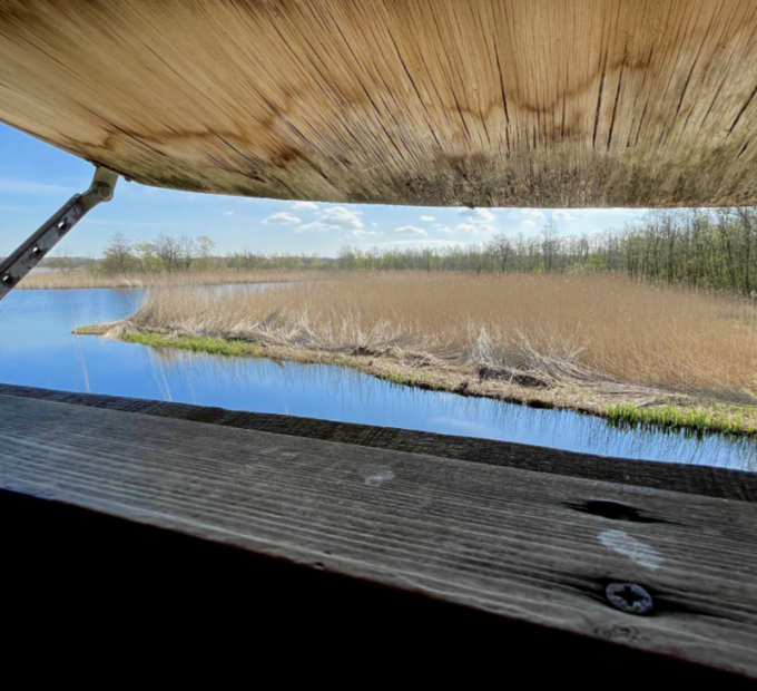 Naardermeer kijkhut (Foto wndln.be)