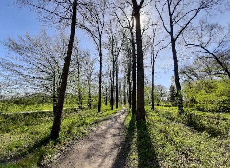 Het openbare park van Gunterstein