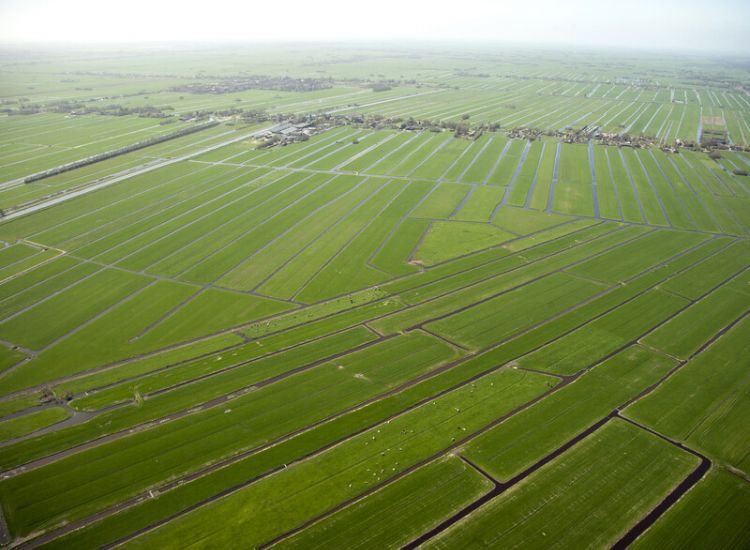 Het ontginnen van het drassige landschap begon al in de 10de eeuw