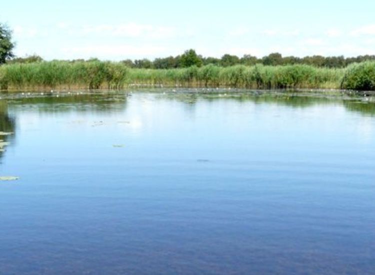 beeldbeschrijving van de afbeelding voor mensen met een visuele beperking