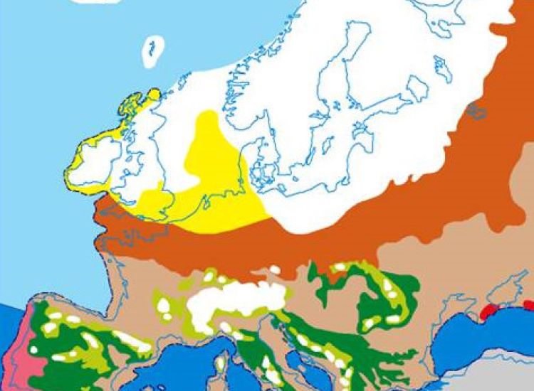 In het Weichselien is Nederland niet bedekt met ijs.