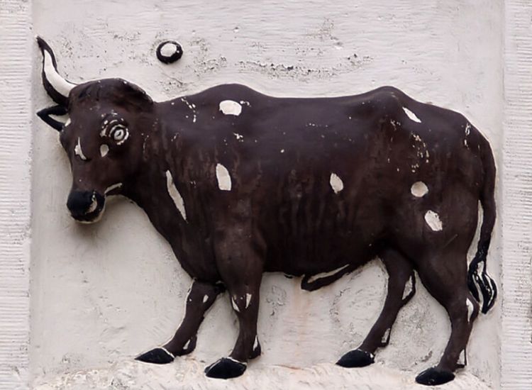 Gevelsteen met een os, verwijzend naar de vetweiderij