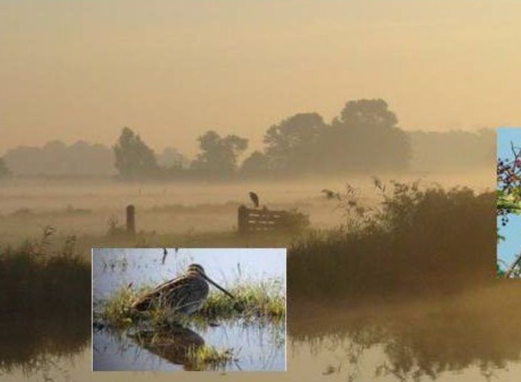 beeldbeschrijving van de afbeelding voor mensen met een visuele beperking