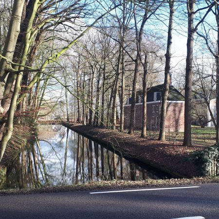 Historische boomstructuur langs Hollandse Wetering naast OverHolland