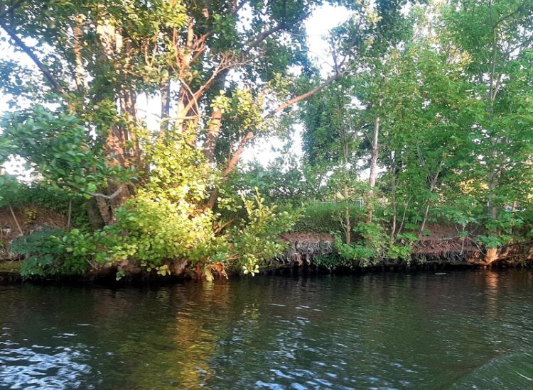 Ingestorte dakpanoever