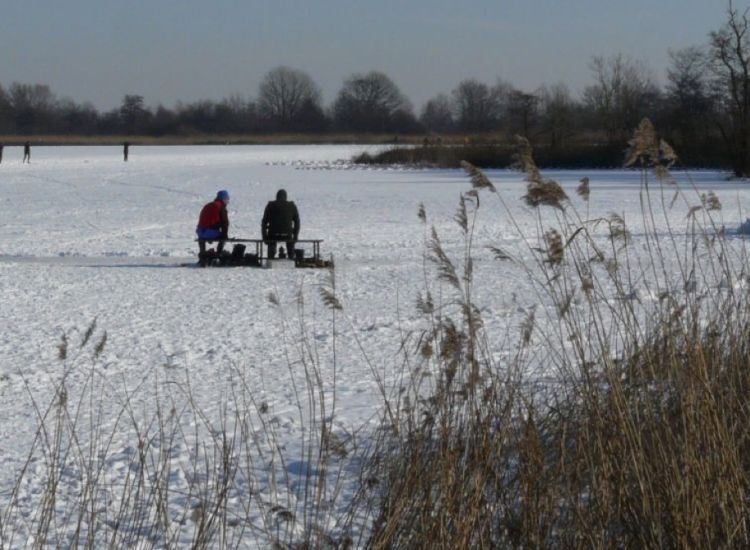 beeldbeschrijving van de afbeelding voor mensen met een visuele beperking