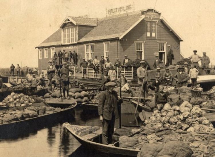 beeldbeschrijving van de afbeelding voor mensen met een visuele beperking