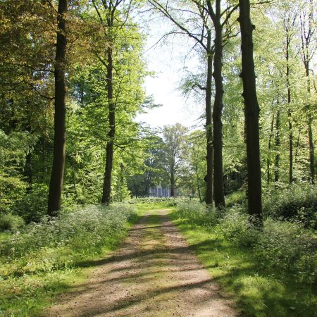 Het park van Over Holland