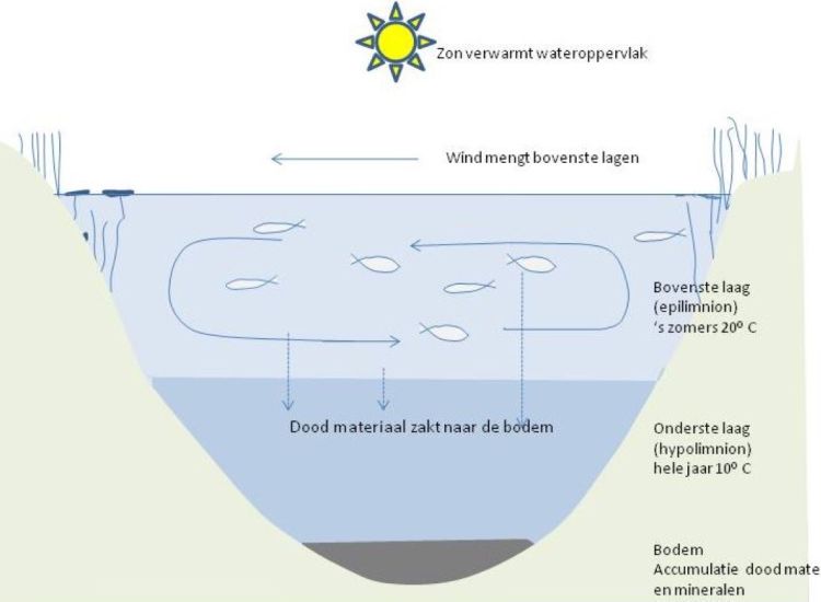 beeldbeschrijving van de afbeelding voor mensen met een visuele beperking
