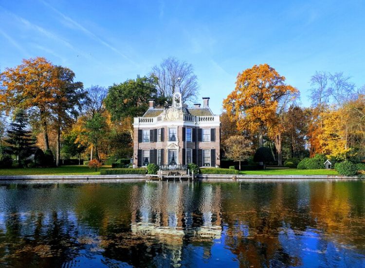 Parkbos van Rupelmonde